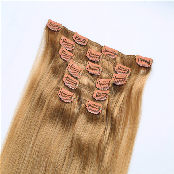 Hot sale cheap human hair long life time clip in hair extensions WJ031